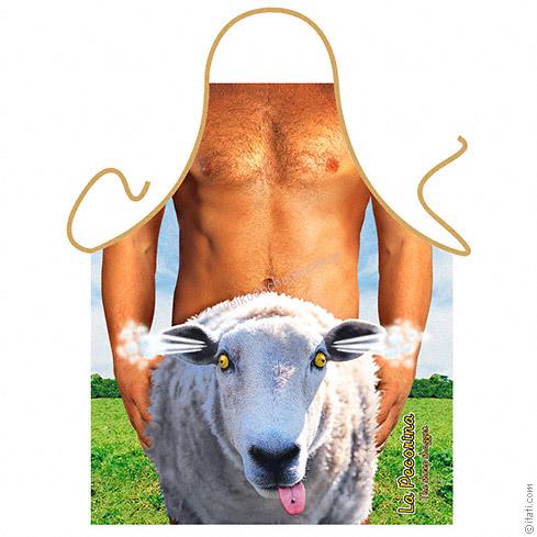 Zástera ovca